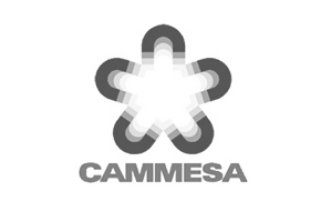 cammesa